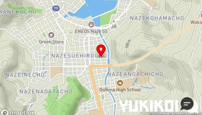 の地図 オ・パッキャマラド レストラン で 奄美市