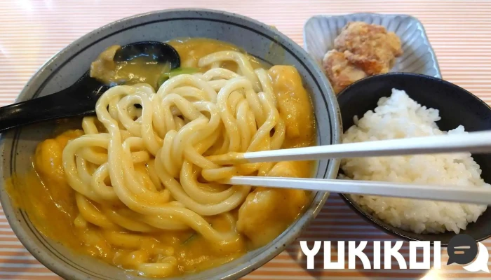 カレーうどん専門 サンビーノ -  うどん - 刈谷市