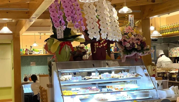 キャナリイロウ延岡店 オーナー提供 - 延岡市