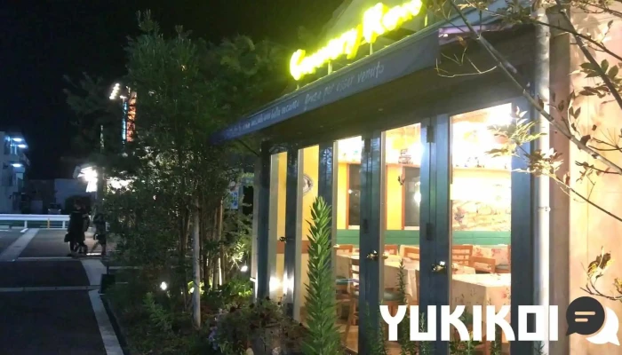 キャナリイロウ延岡店 動画 - 延岡市