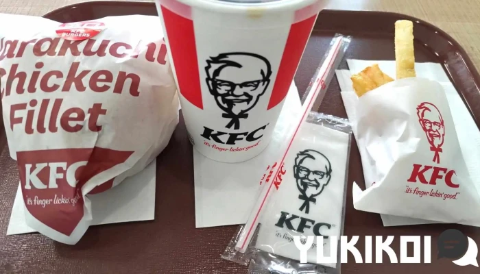 ケンタッキーフライドチキン小松店 -  フライドポテト - 小松市