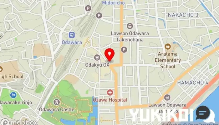 の地図 ゴーゴーカレー 小田原中央通店 カレー店, レストラン で 小田原市