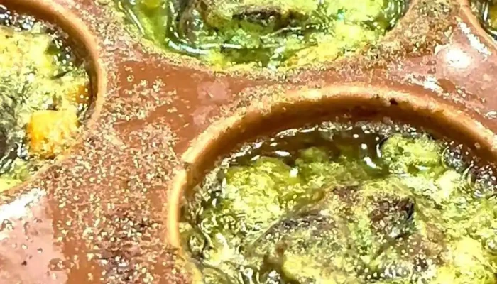 サイゼリヤ 草津エイスクエア店 -  動画 - 草津市
