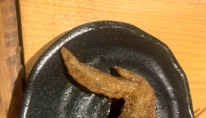 サカバマンモス -  どこ - ニセコ町