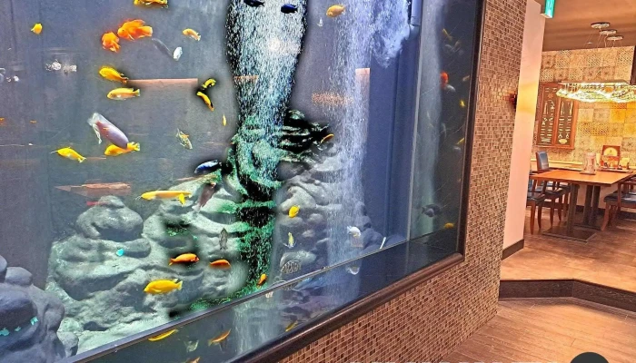 シーフードレストラン メヒコ アクアワールド -  魚類 - 日立市