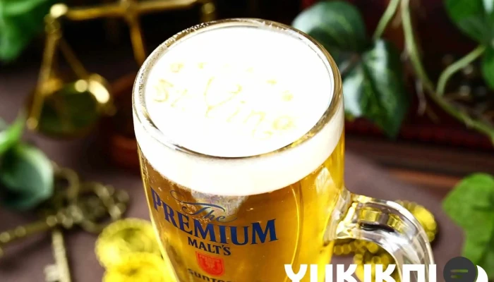 チーズとお肉のお店 Stvino サンビーノ 刈谷本店 ビール - 刈谷市