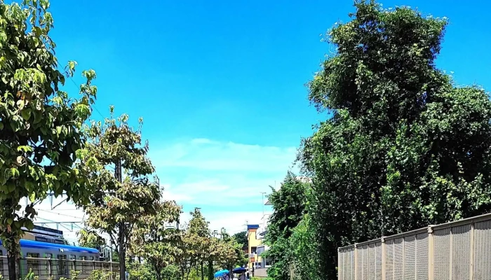ドムドムハンバーガー 野田運河プラザ館店 -  営業時間 - 野田市