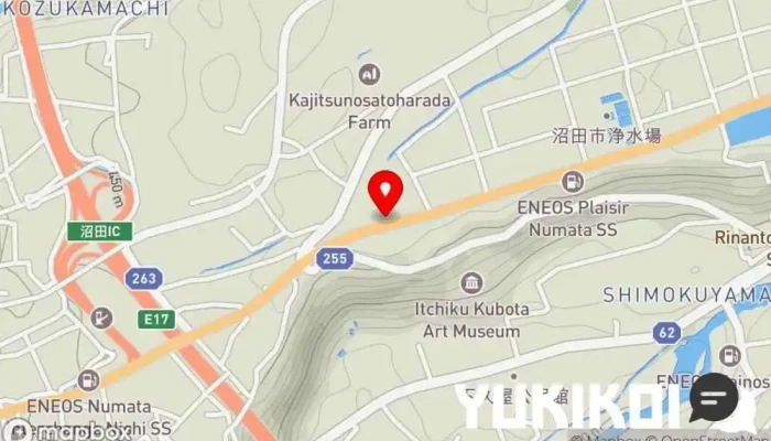 の地図 バーミヤン 沼田インター店 中華料理店, 中華麺レストラン, テイクアウト可能な中華料理店, デリバリー中華料理店, ファミリー レストラン, 宅配/出前, テイクアウト, ラーメン屋 で 沼田市