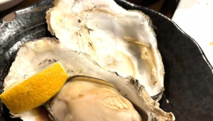 ビストロ魚丸 -  動画 - 枚方市