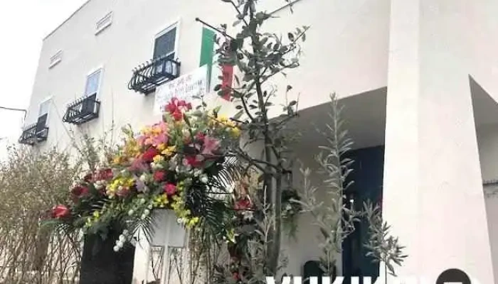ベイビーズブレス -  オーナー提供 - 野田市
