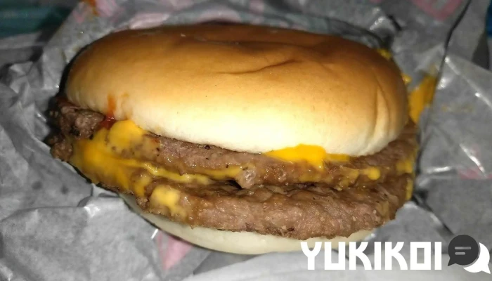 マクドナルド 上磯トライアル店 -  ハンバーガー - 北斗市