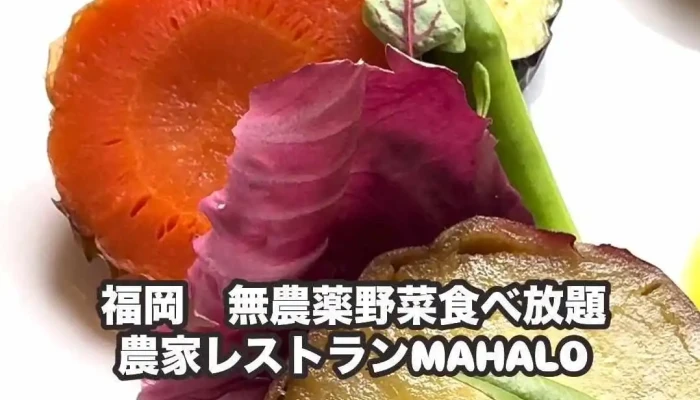マハロ 農家レストラン大人の隠れ家 動画 - 福岡市