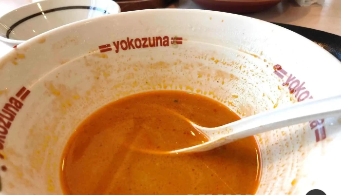 ラーメン横綱 寝屋川店 -  スープ - 寝屋川市
