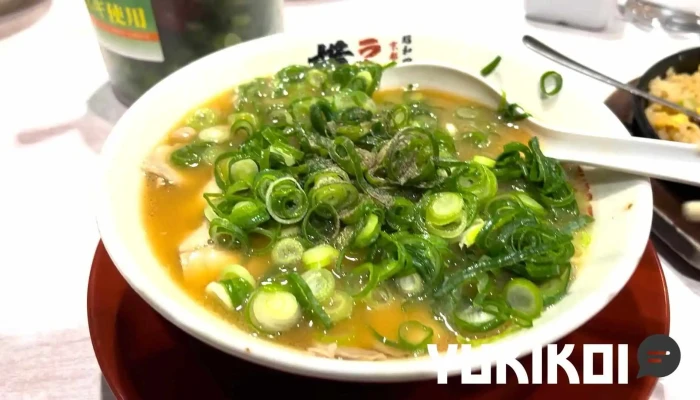 ラーメン横綱 寝屋川店 -  動画 - 寝屋川市