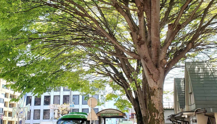 リヴィエルドール -  住所 - 東村山市