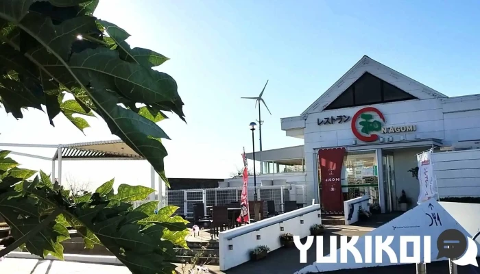 レストラン 和 -  動画 - 吉岡町