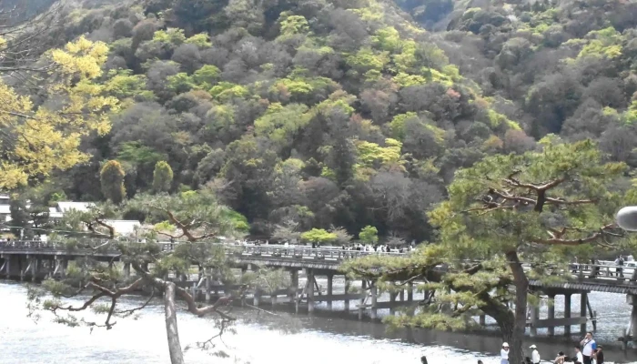 レストラン嵐山 -  住所 - 京都市