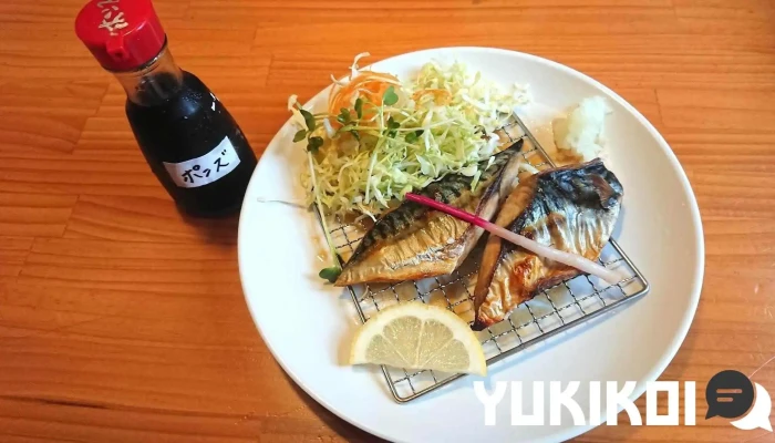 レストラン正鈴 -  料理飲み物 - 人吉市