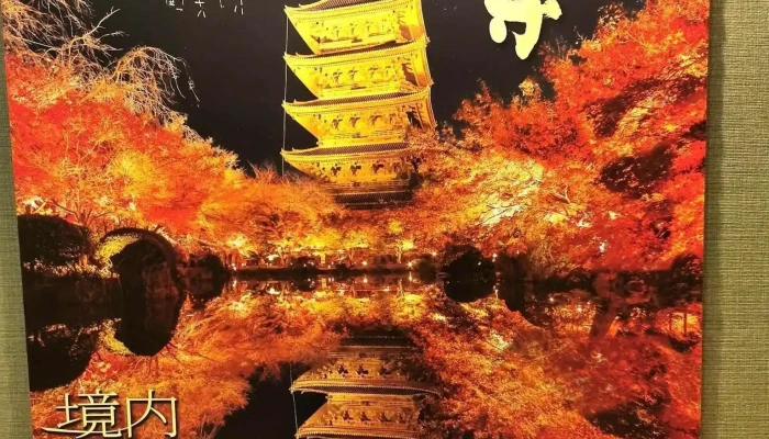 京町家 鴨しゃぶ 空 京都 しゃぶしゃぶ -  メニュー - 京都市