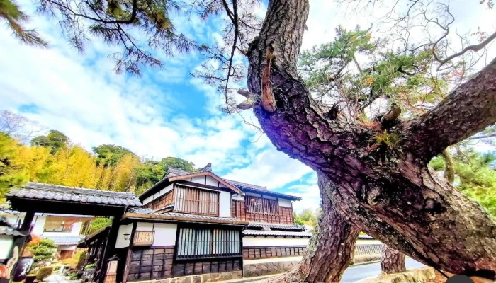 出雲そば処 八雲庵 -  最新 - 松江市