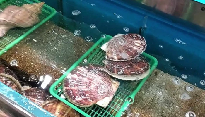 函館ダイニング 雅家 -  動画 - 函館市