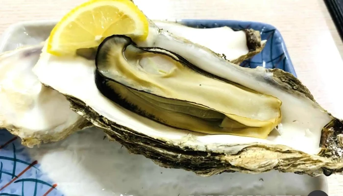 函館朝市すずや食堂 -  カキ - 函館市