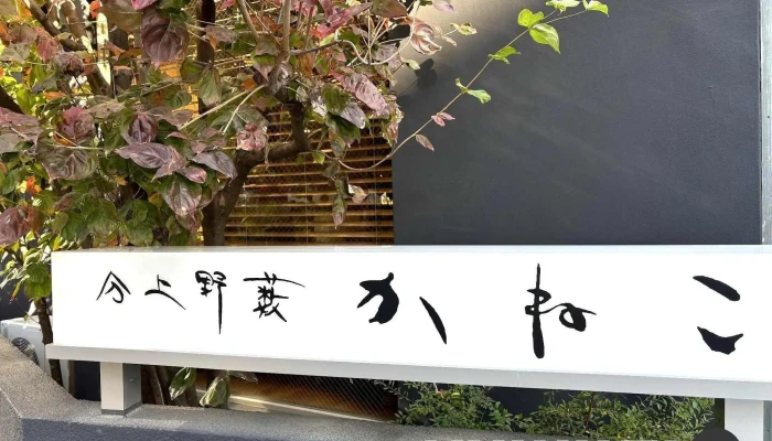 分上野藪かねこ -  最新 - さいたま市