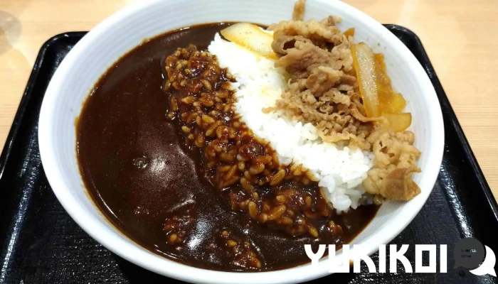 吉野家 浦和仲町店 -  カレー - さいたま市