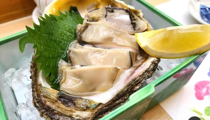 呉竹鮨 松江本店 -  カキ - 松江市