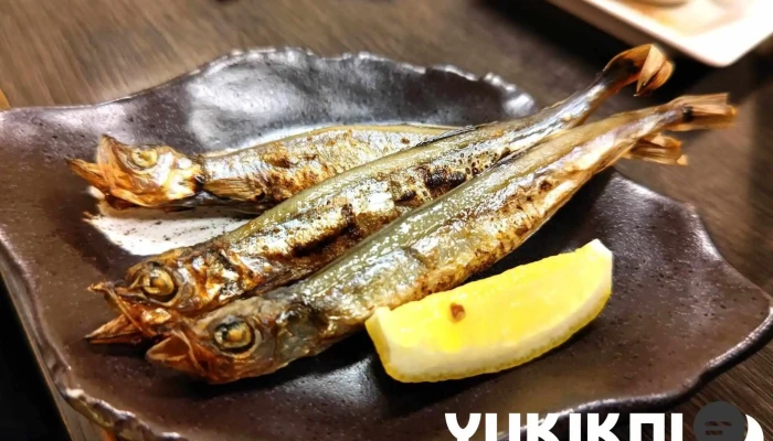 多羅福村 橿原店 -  最新 - 橿原市
