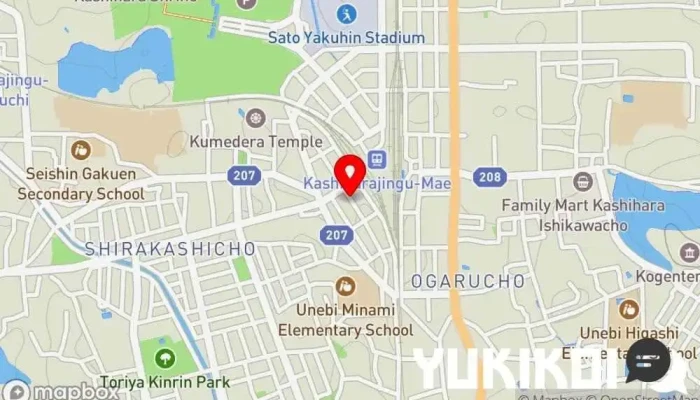 の地図 大阪王将 橿原店 中華料理店, テイクアウト可能な中華料理店 で 橿原市