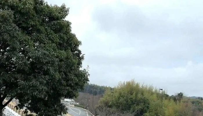 宍道湖の見えるレストラン -  動画 - 松江市