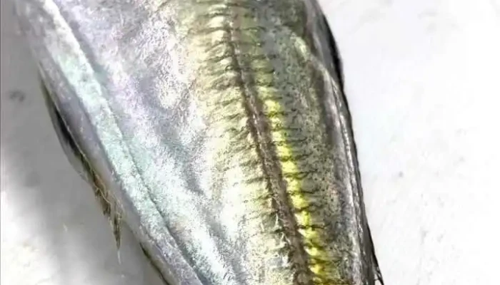 寿しすき焼き あかめちゃん オーナー提供 - 金沢市
