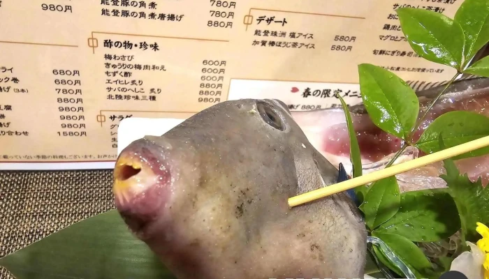 居酒屋 八角 -  メニュー - 小松市