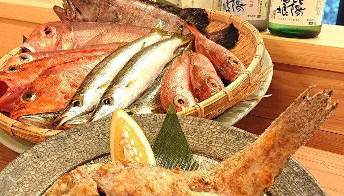 居酒屋 銀 -  魚類 - 萩市