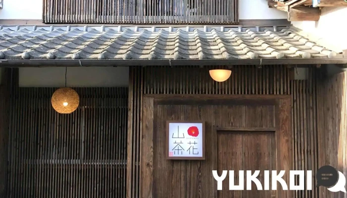 山茶花 - 菊池市