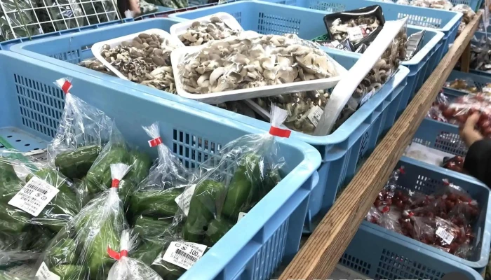 志摩の四季 -  屋内 - 糸島市