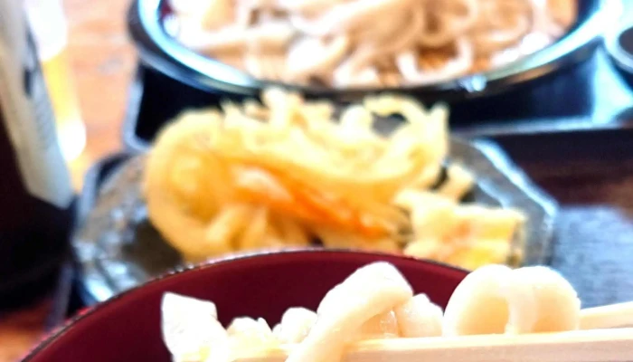 手打ちうどん こせがわ -  プロモーション - 東村山市