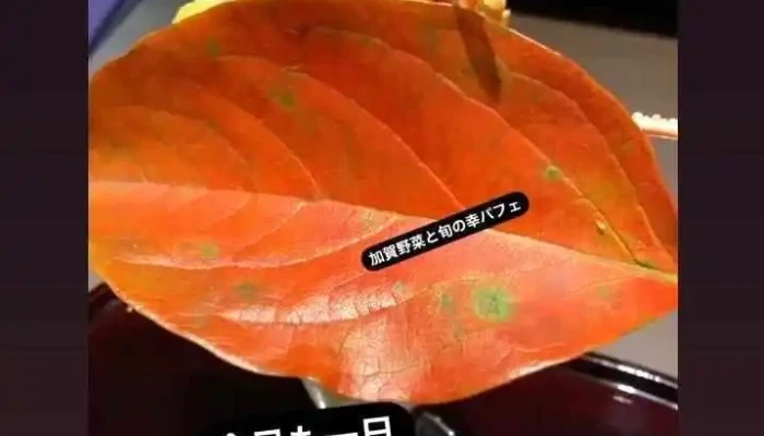 日本ワイン 海と土 金沢市のレストラン フレンチ デート -  メニュー - 金沢市