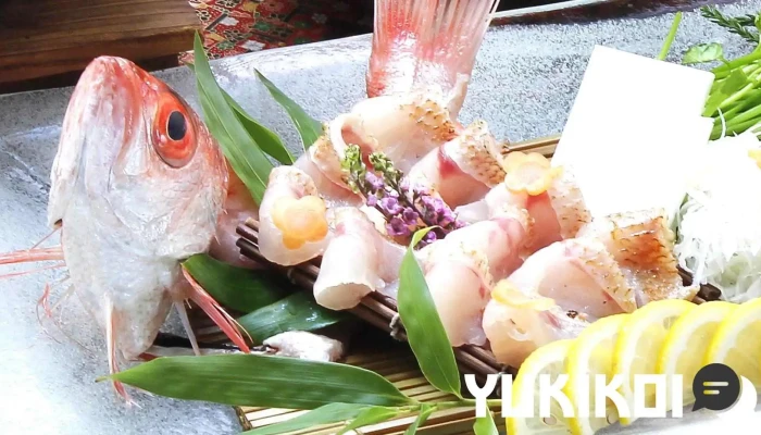 日本料理 松江 和らく -  刺身 - 松江市