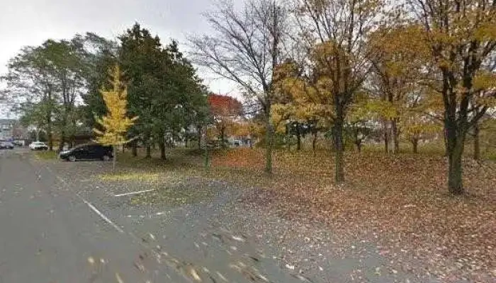 本格スパイシーカレーマンダラmandala 江別市 - 江別市