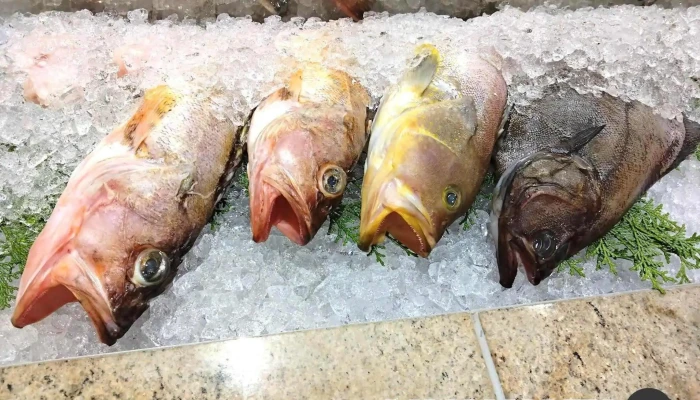 松江割鮮 明島 -  魚類 - 松江市