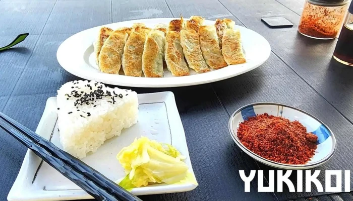 松龍軒 熊本人吉店 -  餃子 - 人吉市