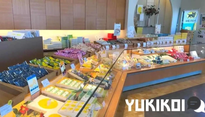 果子乃季 萩美術館前店 -  雰囲気 - 萩市
