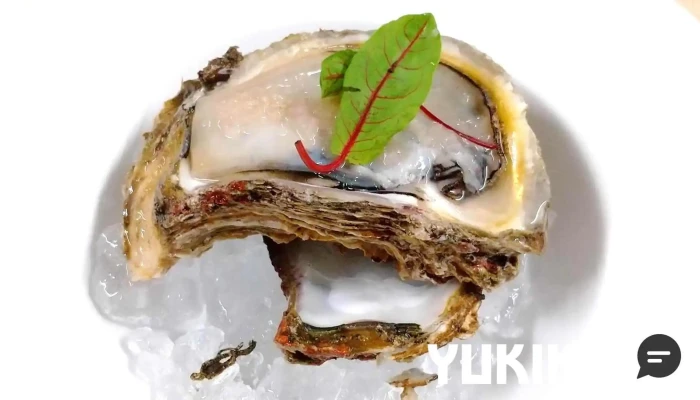 洋食レストラン Chez Noa カキ - 見附市