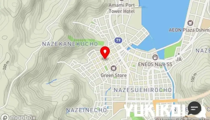 の地図 洋食酒場IZUMI 地中海料理店 で 奄美市