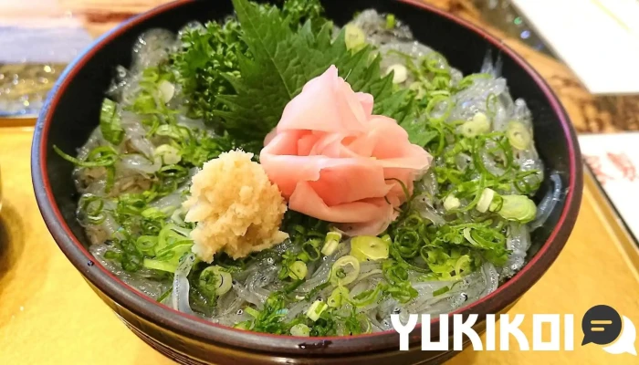海鮮寿司レストラン入船 小田原駅前店 丼物 - 小田原市
