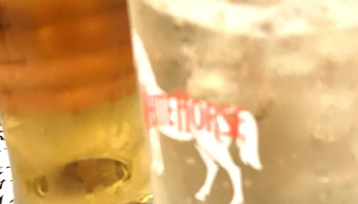 海鮮居酒屋おどりや 香里園駅前店 -  プロモーション - 寝屋川市