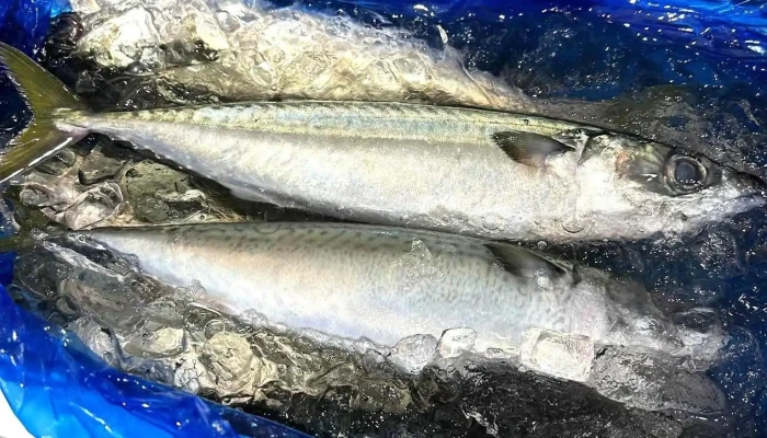 炭火食堂 凪ナギ 料理飲み物 - 草津市