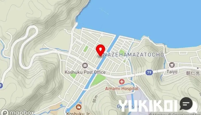 の地図 白南風亭 定食屋 で 奄美市